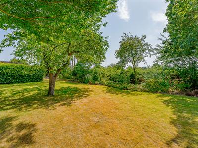 Picture 28